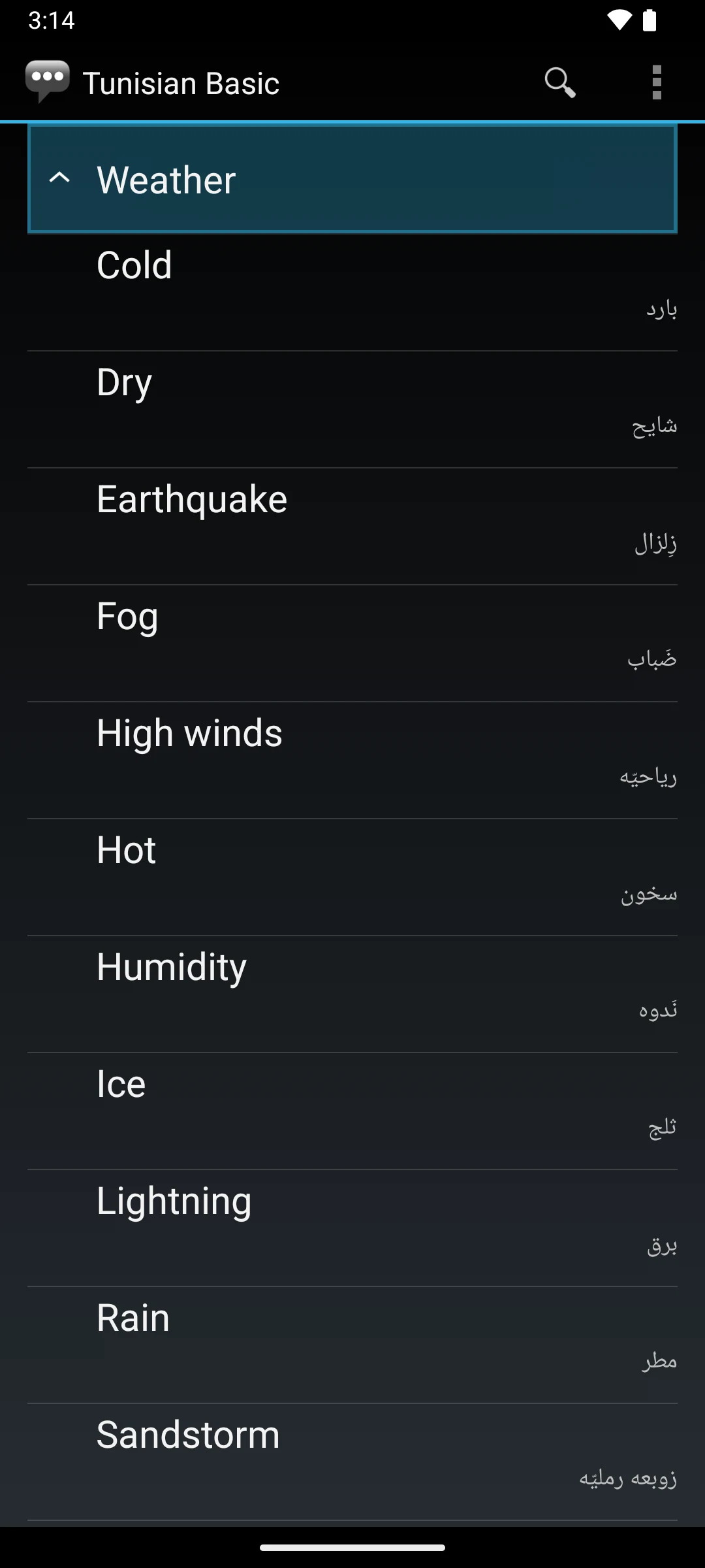 Tunisian Arabic Basic Phrases screenshot